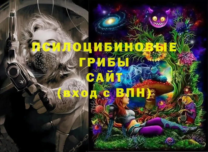 Галлюциногенные грибы GOLDEN TEACHER  Каменногорск 